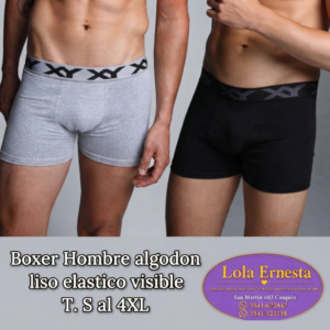Boxer
